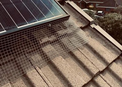 Solar Panel Meshing Grimsby